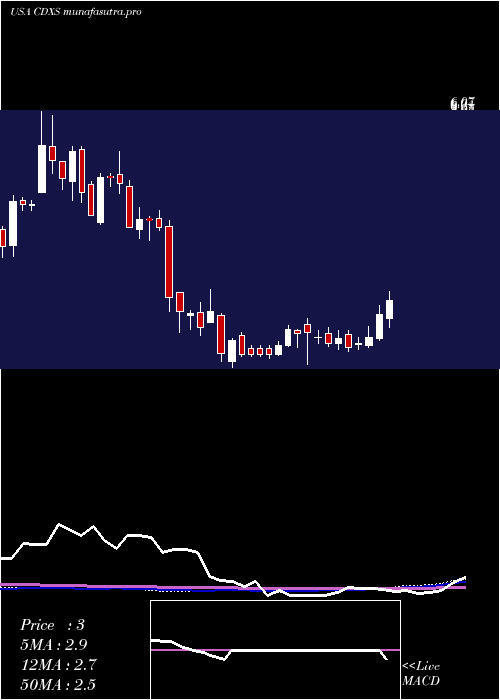 weekly chart CodexisInc
