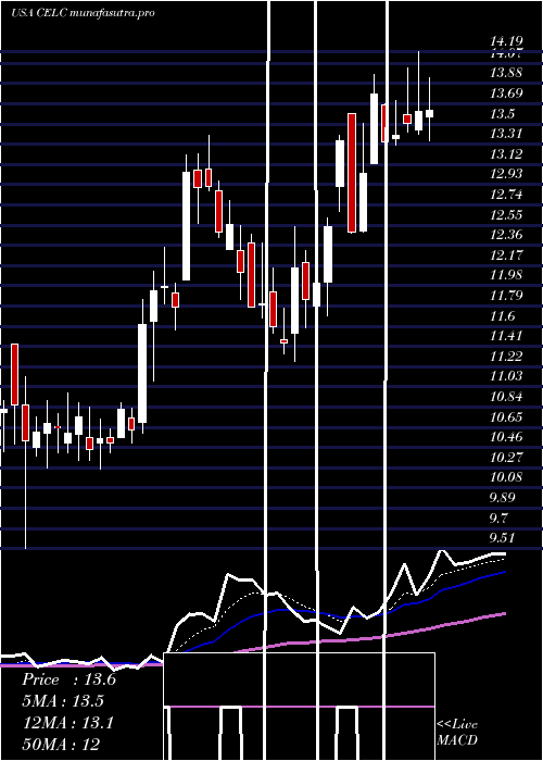 Daily chart CelcuityInc