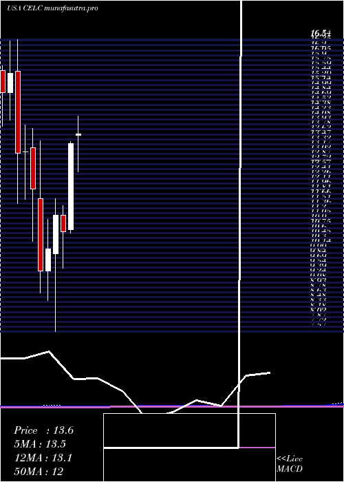 monthly chart CelcuityInc