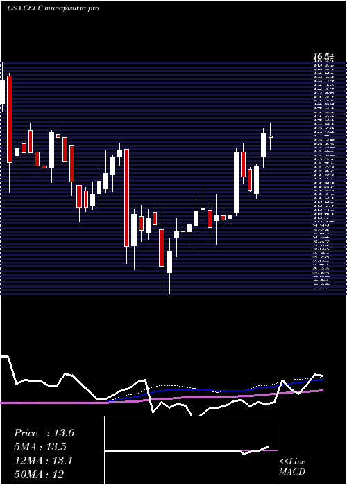 weekly chart CelcuityInc