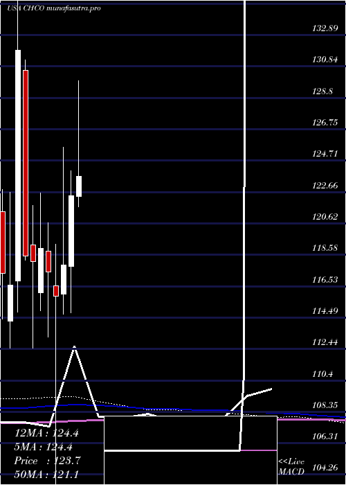  monthly chart CityHolding