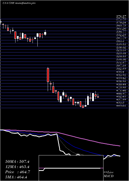  Daily chart ChemedCorp