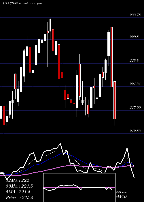 Daily chart CheckPoint