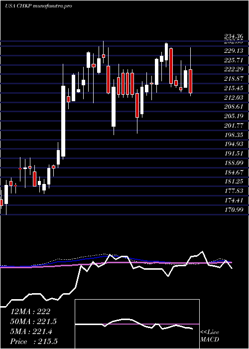 weekly chart CheckPoint