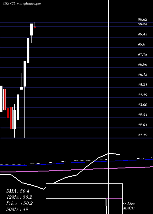 monthly chart VictorysharesInternational
