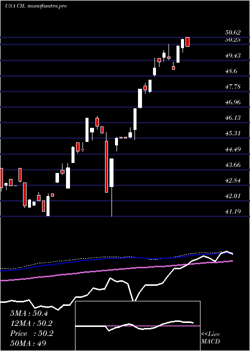 weekly chart VictorysharesInternational