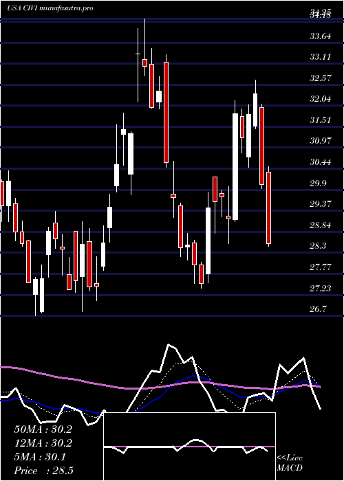 Daily chart CivitasSolutions