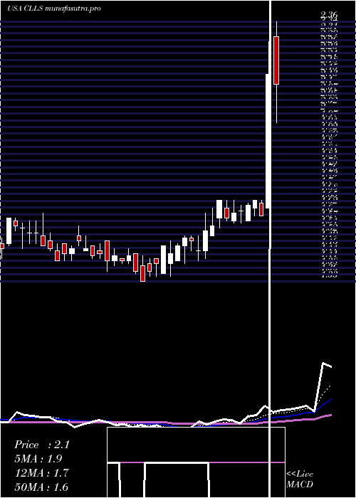 Daily chart CellectisS