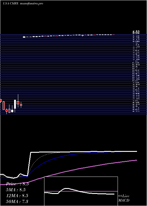 Daily chart ChimerixInc