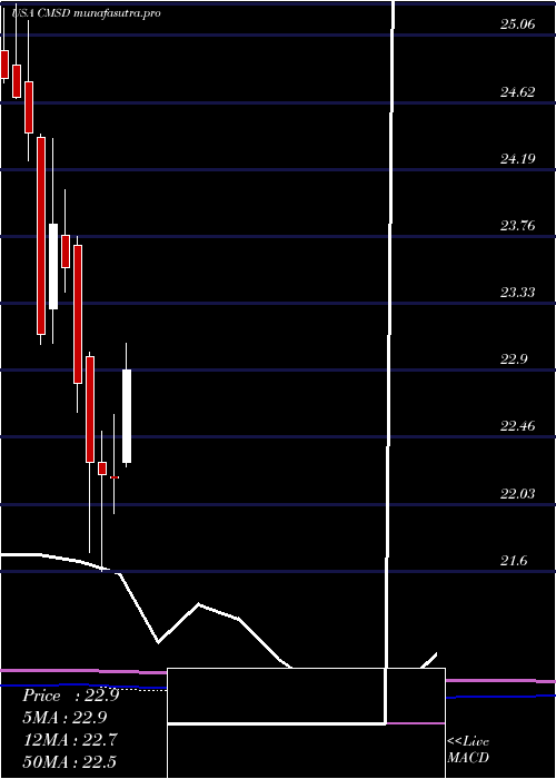 monthly chart CmsEnergy