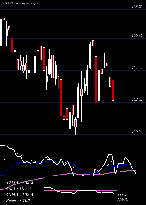 Daily chart CanadianNational