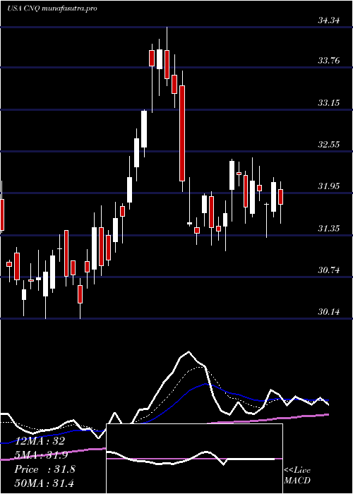 Daily chart CanadianNatural