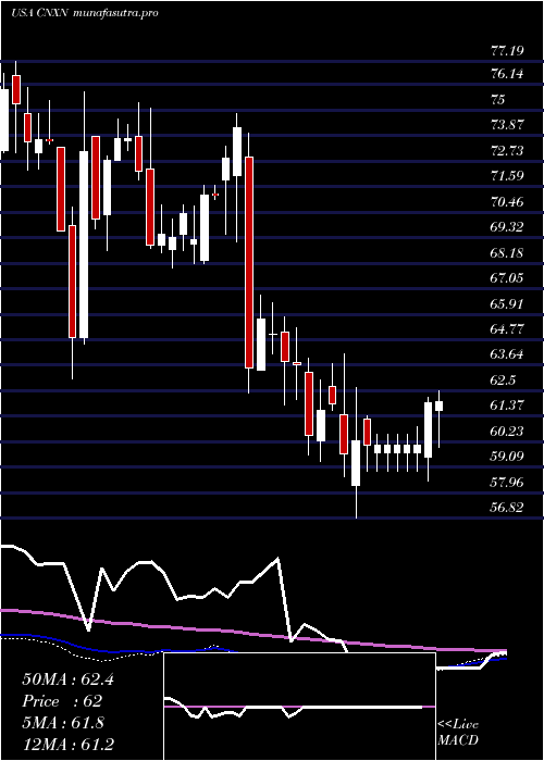  weekly chart PcConnection
