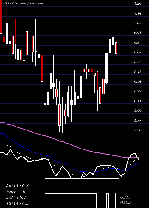  Daily chart CodaOctopus