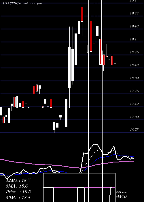 Daily chart CanterburyPark