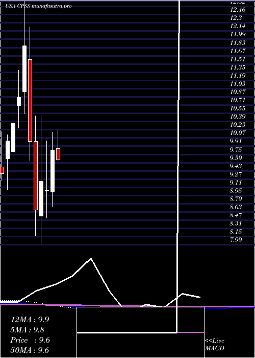 monthly chart ConsumerPortfolio