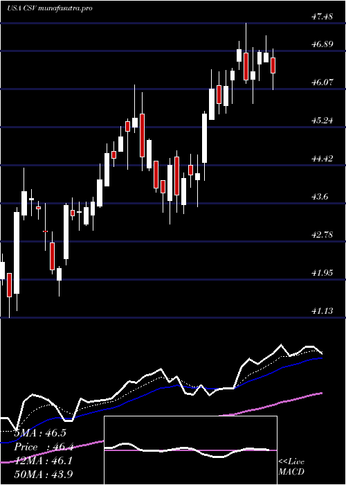 Daily chart CarriageServices