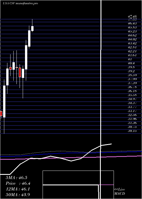 monthly chart CarriageServices
