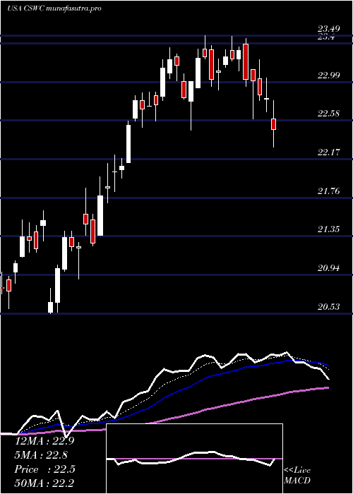  Daily chart CapitalSouthwest