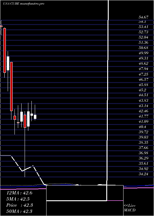 monthly chart Cubesmart