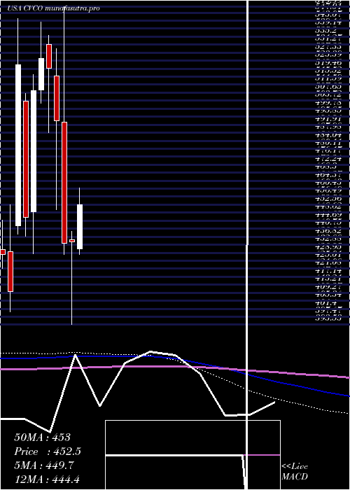 monthly chart CavcoIndustries
