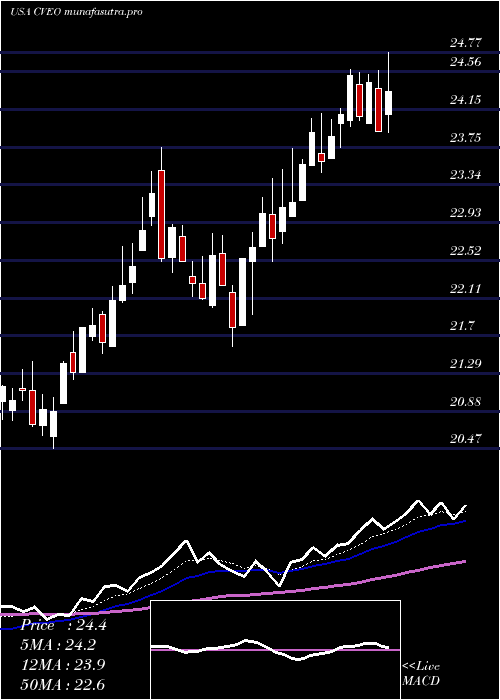 Daily chart CiveoCorporation