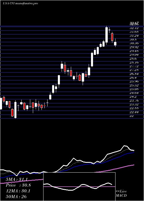 Daily chart CvrEnergy