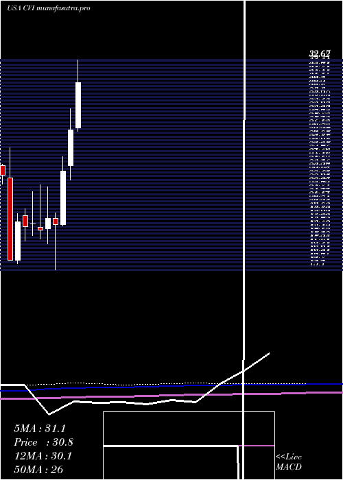monthly chart CvrEnergy