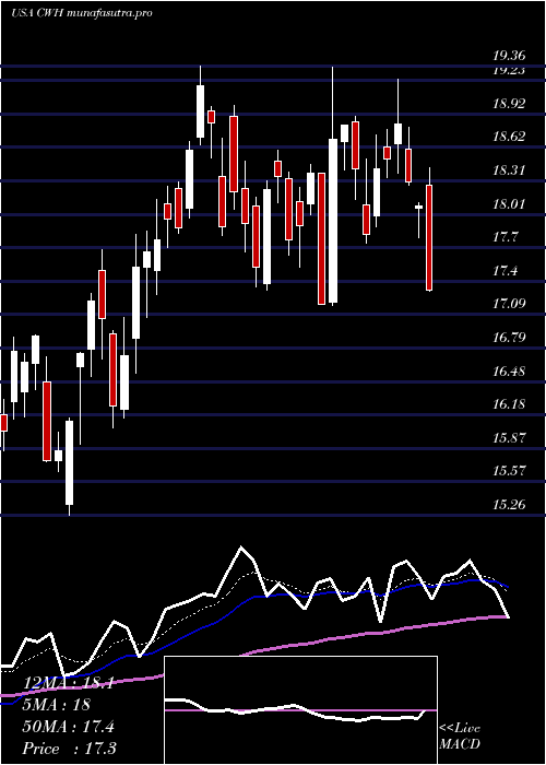 Daily chart CampingWorld