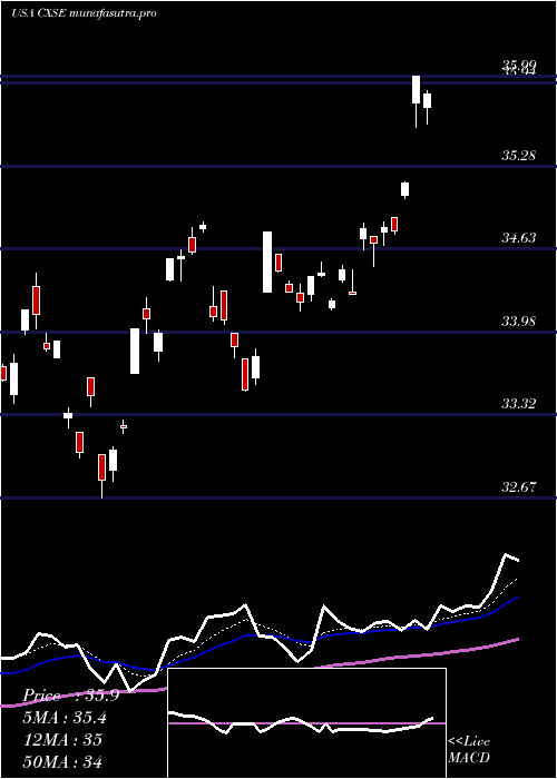 Daily chart WisdomtreeChina