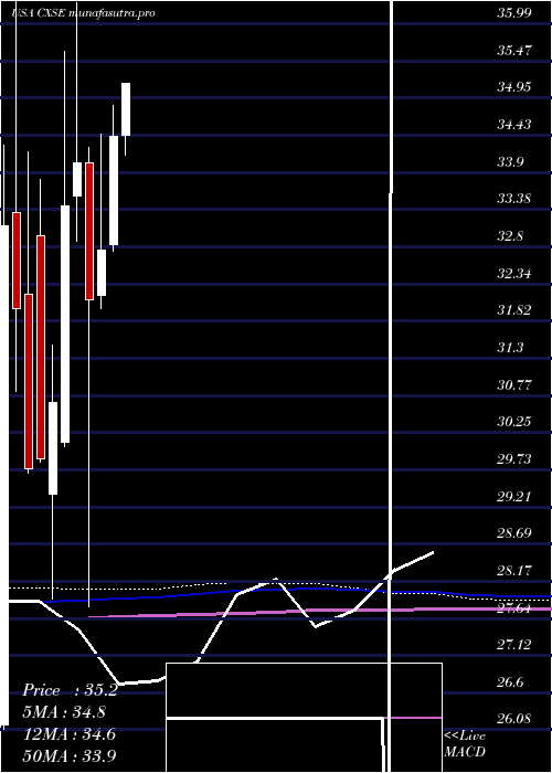 monthly chart WisdomtreeChina