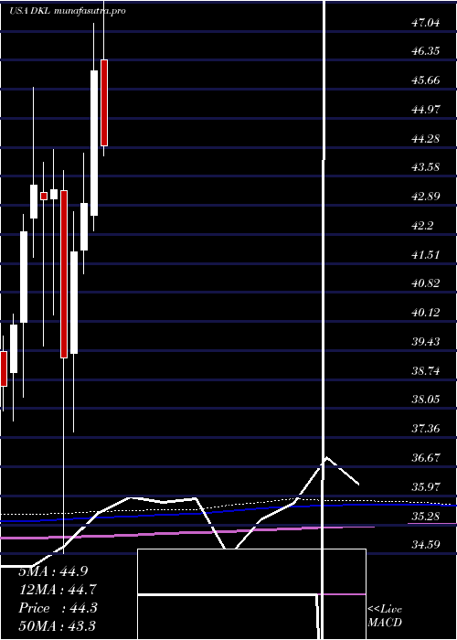  monthly chart DelekLogistics