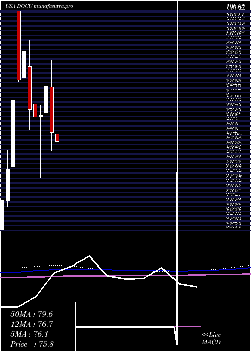 monthly chart DocusignInc