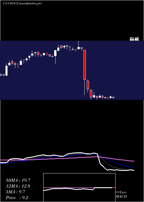 Daily chart DognessInternational