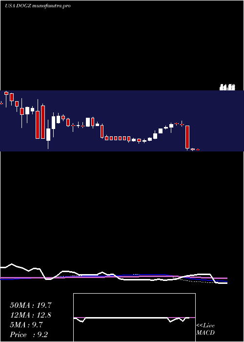 weekly chart DognessInternational