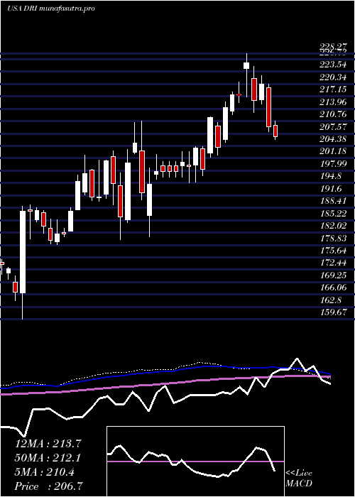 weekly chart DardenRestaurants