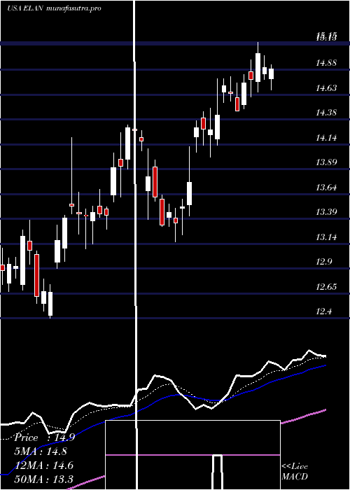 Daily chart ElancoAnimal