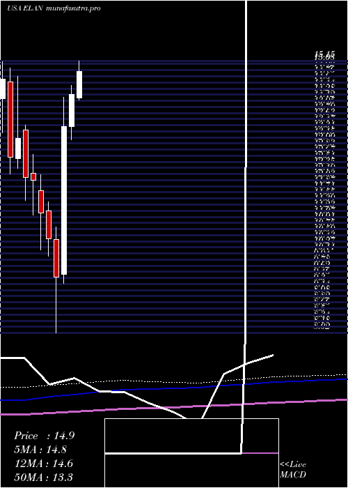 monthly chart ElancoAnimal