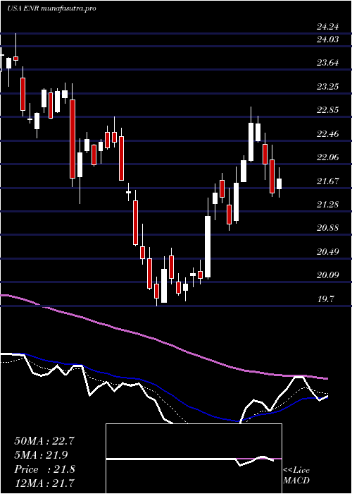 Daily chart EnergizerHoldings