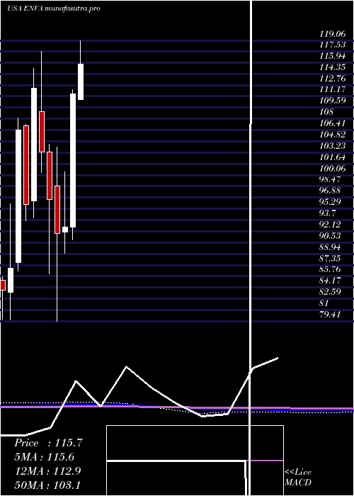 monthly chart EnovaInternational