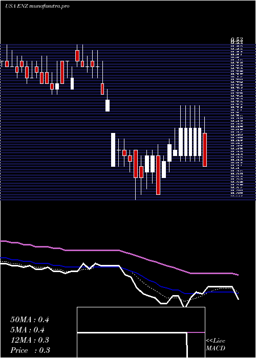 Daily chart EnzoBiochem