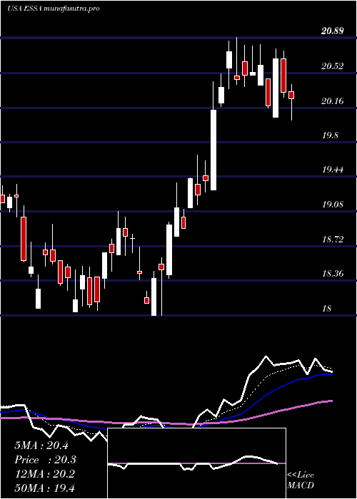 Daily chart EssaBancorp