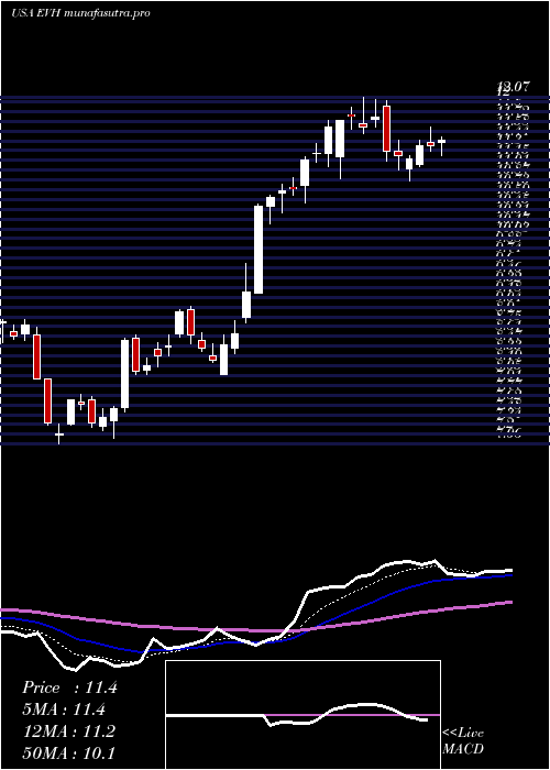 Daily chart EvolentHealth