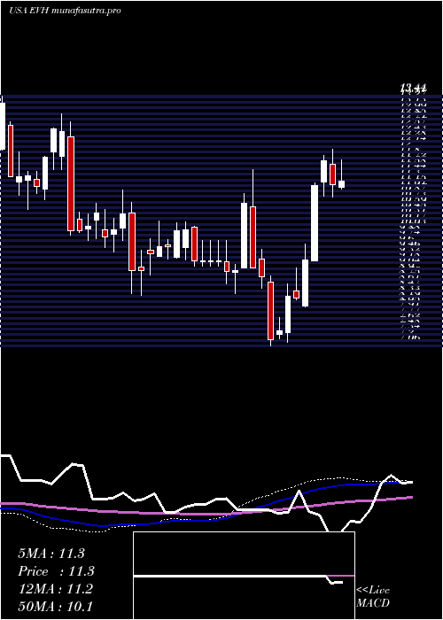 weekly chart EvolentHealth