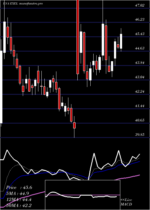 Daily chart ExelixisInc