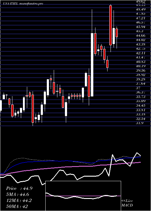 weekly chart ExelixisInc