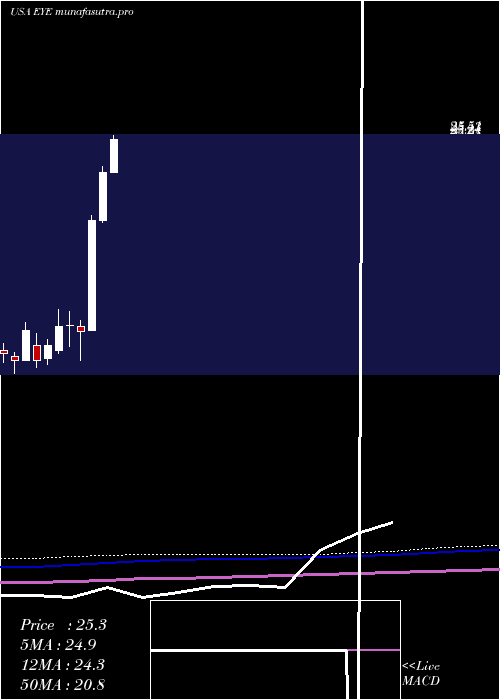 monthly chart NationalVision