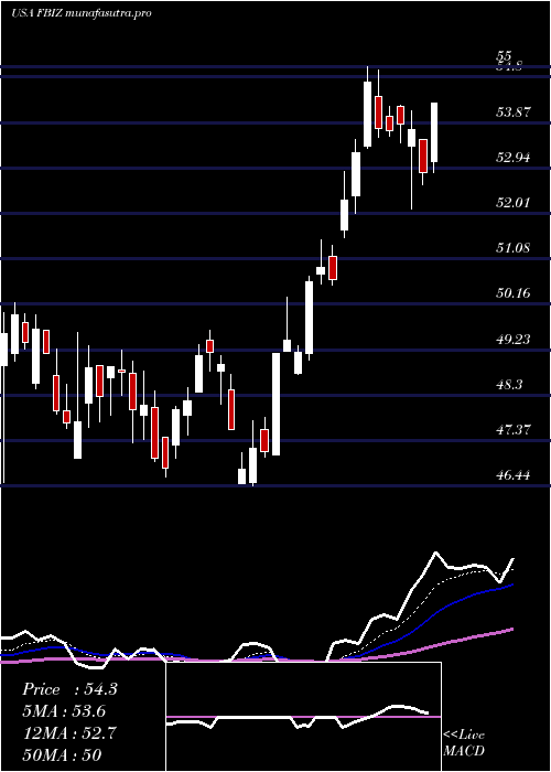 Daily chart FirstBusiness