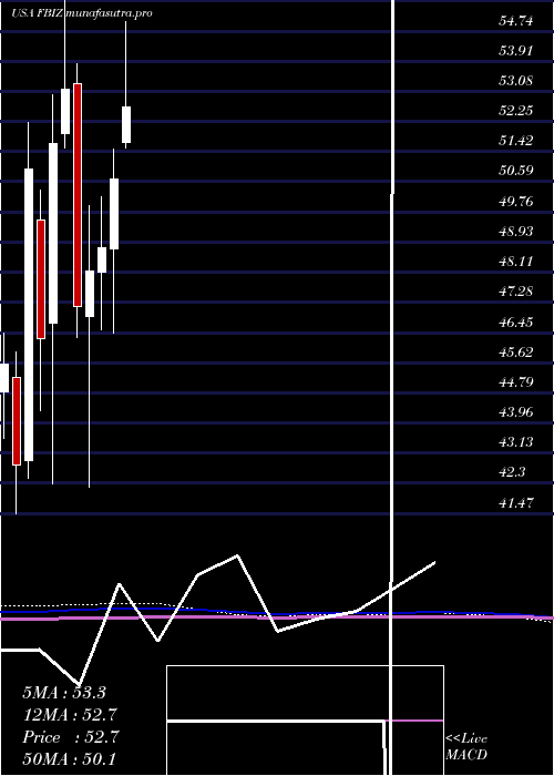 monthly chart FirstBusiness