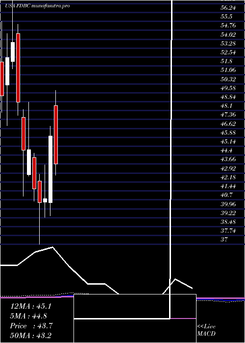 monthly chart FidelityD
